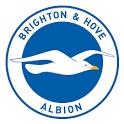 AFC伯恩茅斯对阵布莱顿和霍夫阿尔比恩 2/4/23 - 英超联赛的分析和预测