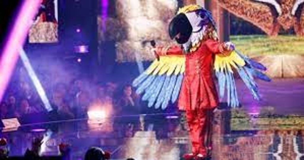 2023年的《蒙面歌王》： 谁是Macaw？